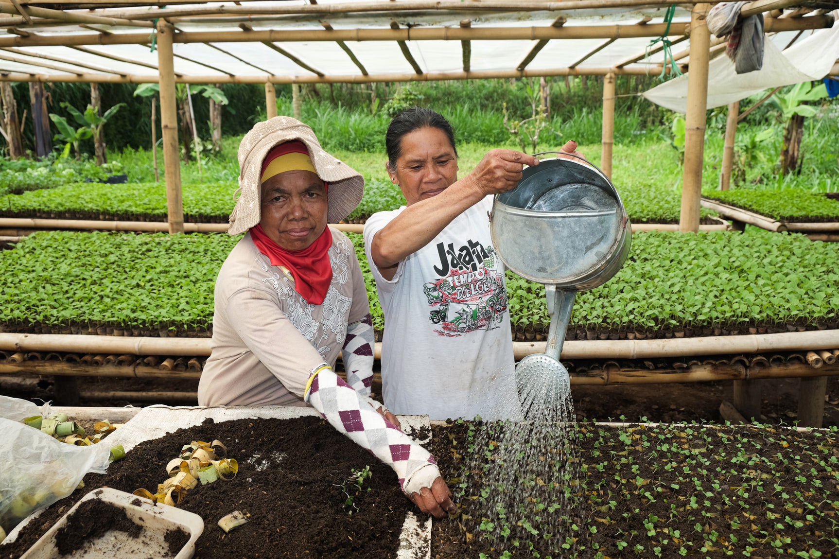 Indonesia Biogas Programme