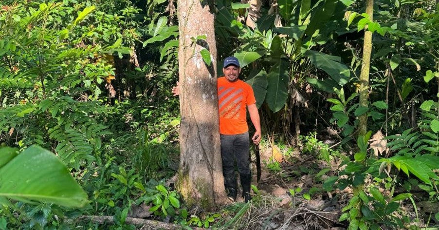 BaumInvest Mixed Reforestation in Costa Rica