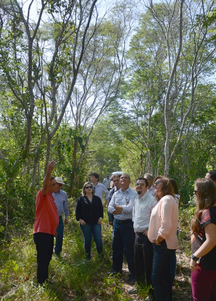 Ceará Renewable Energy Project, Brazil