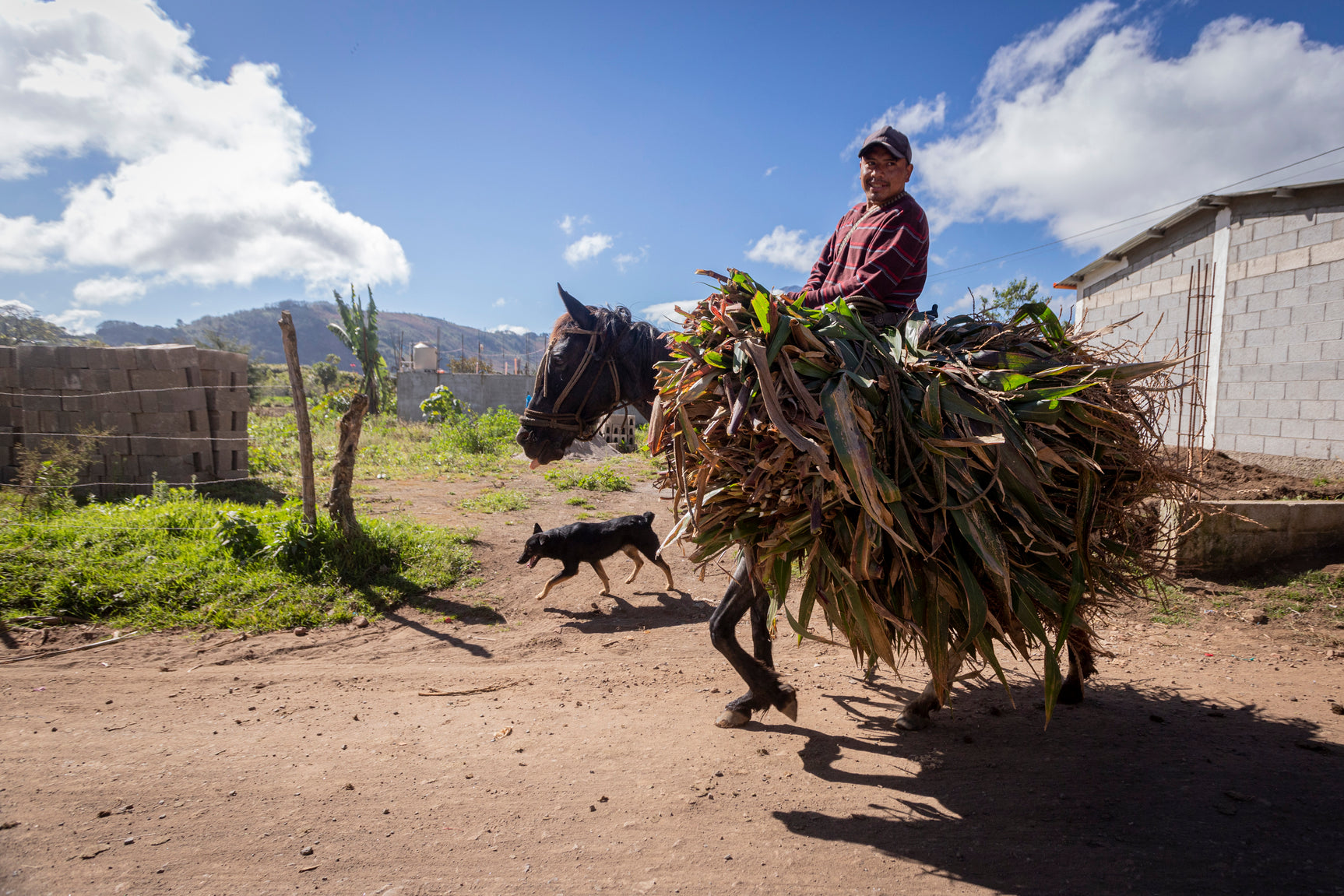 Utsil Naj - healthy homes for all in Guatemala