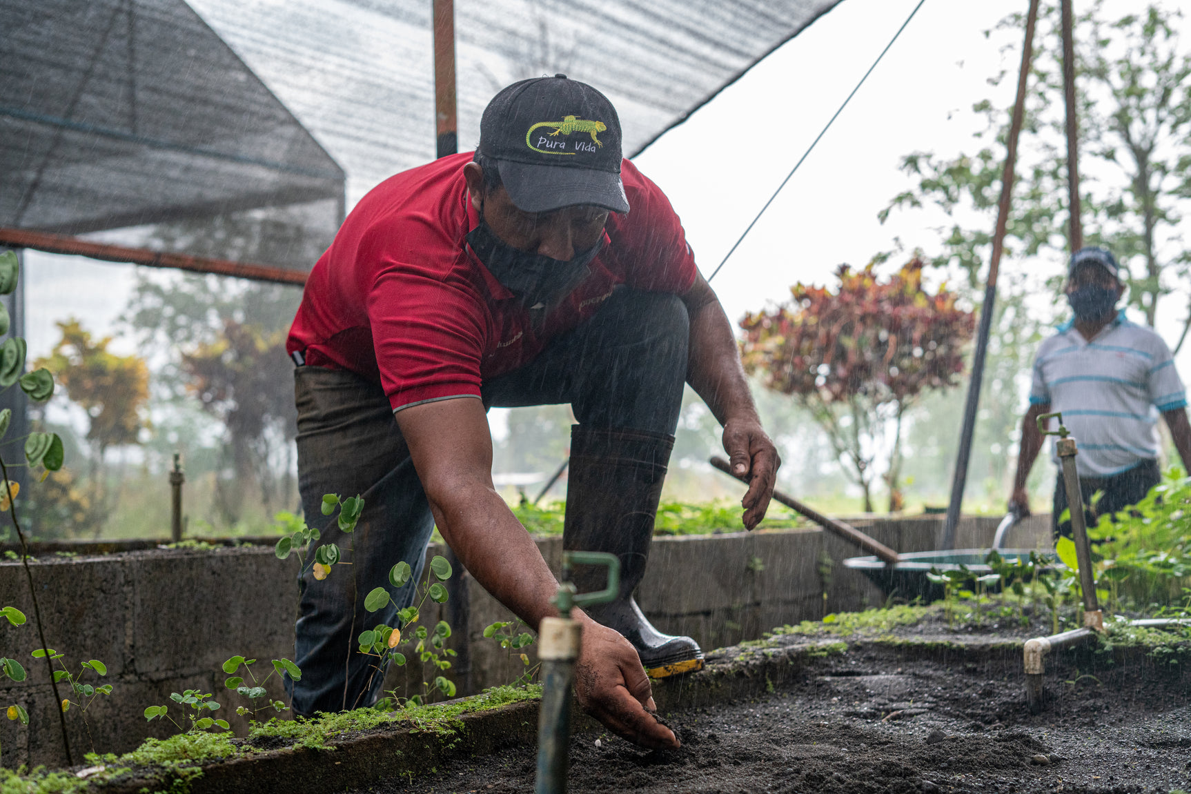 BaumInvest Mixed Reforestation in Costa Rica