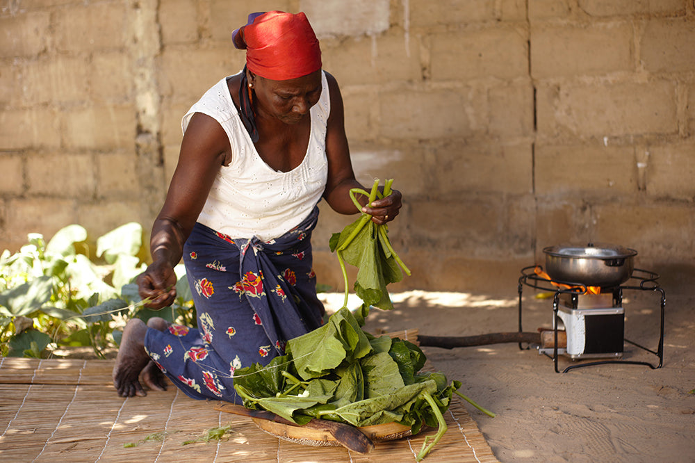 Efficient and Clean Cooking for Mozambican Low-Income Households
