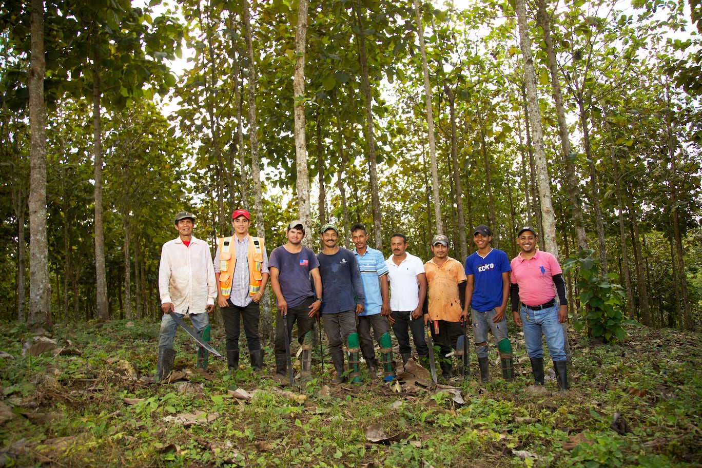 The Nicaforest High Impact Reforestation Program
