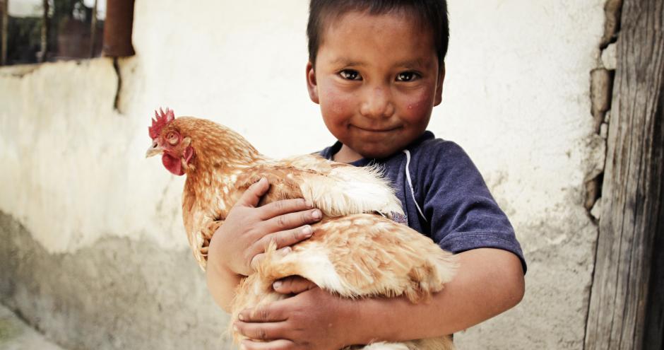 Utsil Naj - healthy homes for all in Mexico