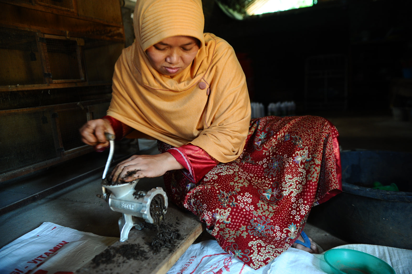 Indonesia Biogas Programme