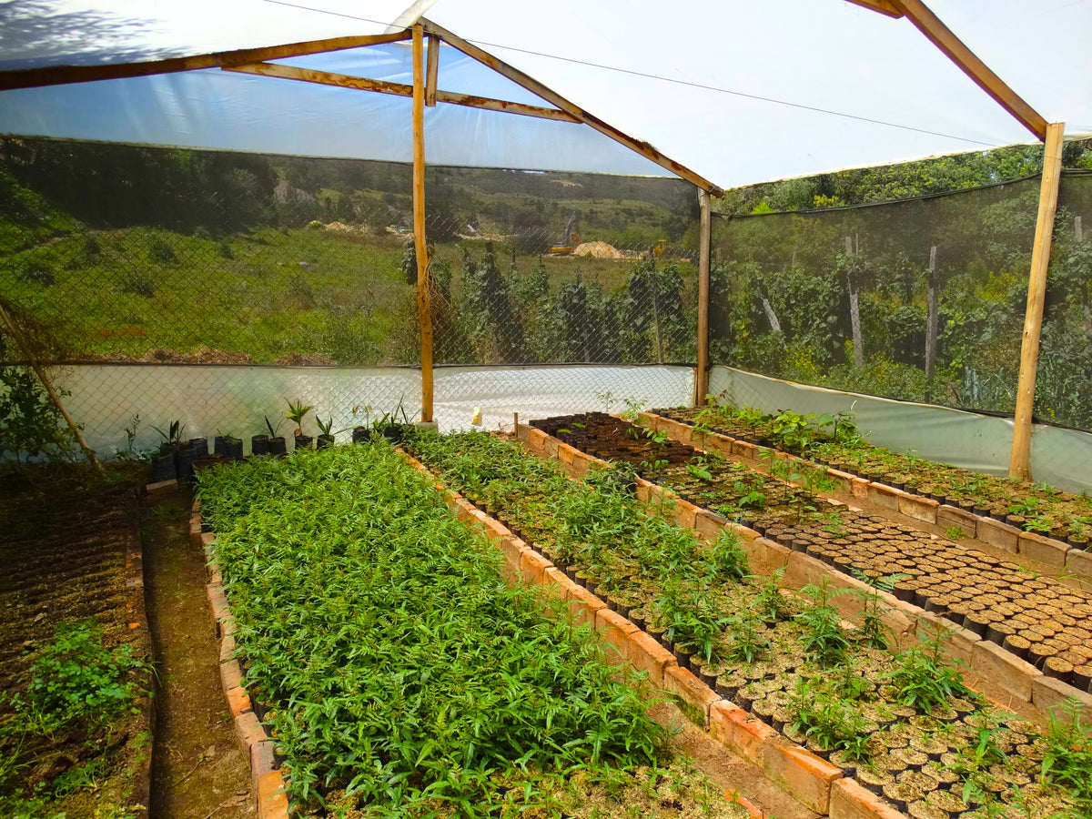 Santander and Las Tapias Renewable Energy Project