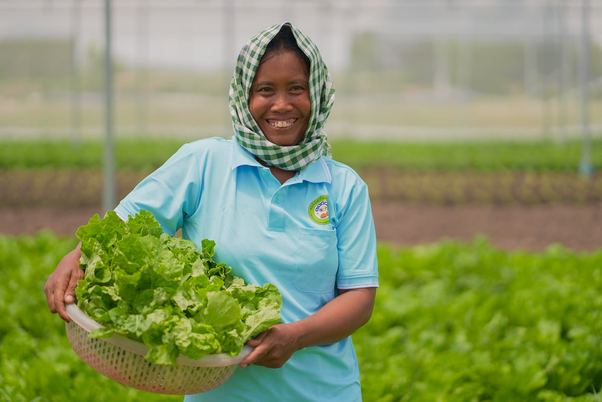 Cambodia National Biodigester Programme