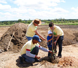 Ceará Renewable Energy Project, Brazil