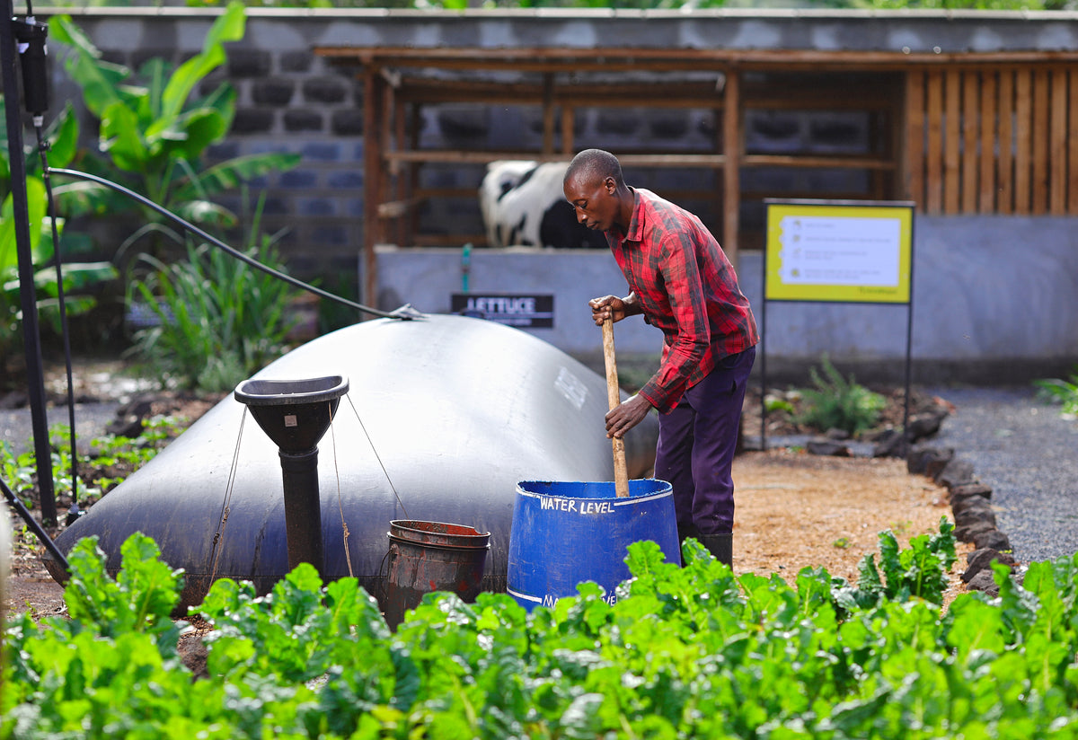 HomeBiogas Programme in Kenya