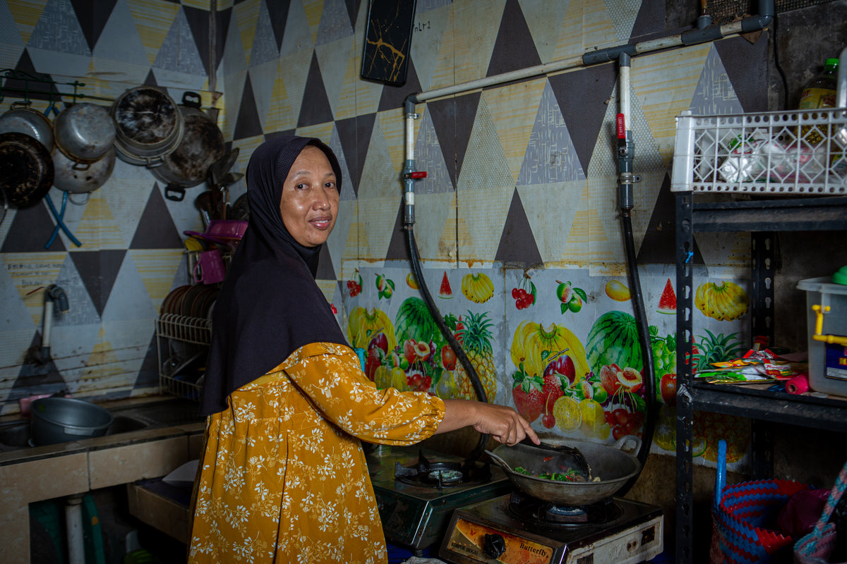 Indonesia Domestic Biogas Programme