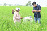 Methane Reduction from Rice Cultivation in Punjab Pakistan