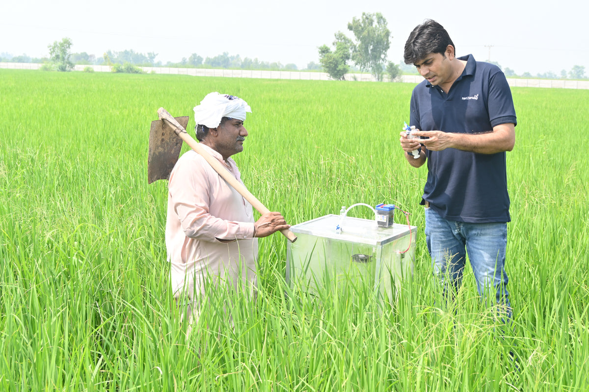 Methane Reduction from Rice Cultivation in Punjab Pakistan