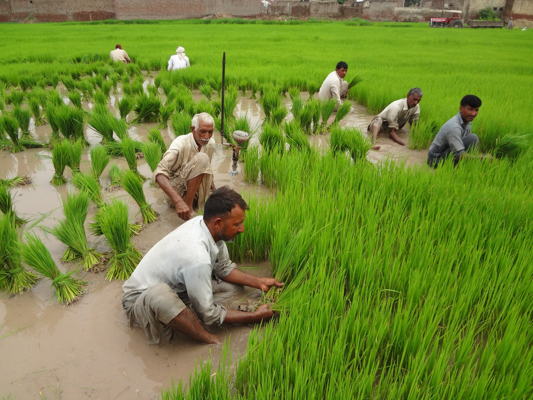 Methane Reduction from Rice Cultivation in Punjab Pakistan