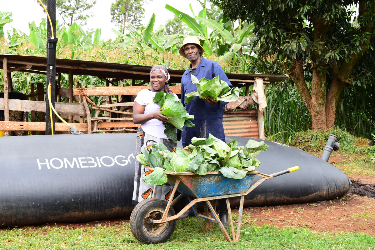 HomeBiogas Programme in Kenya