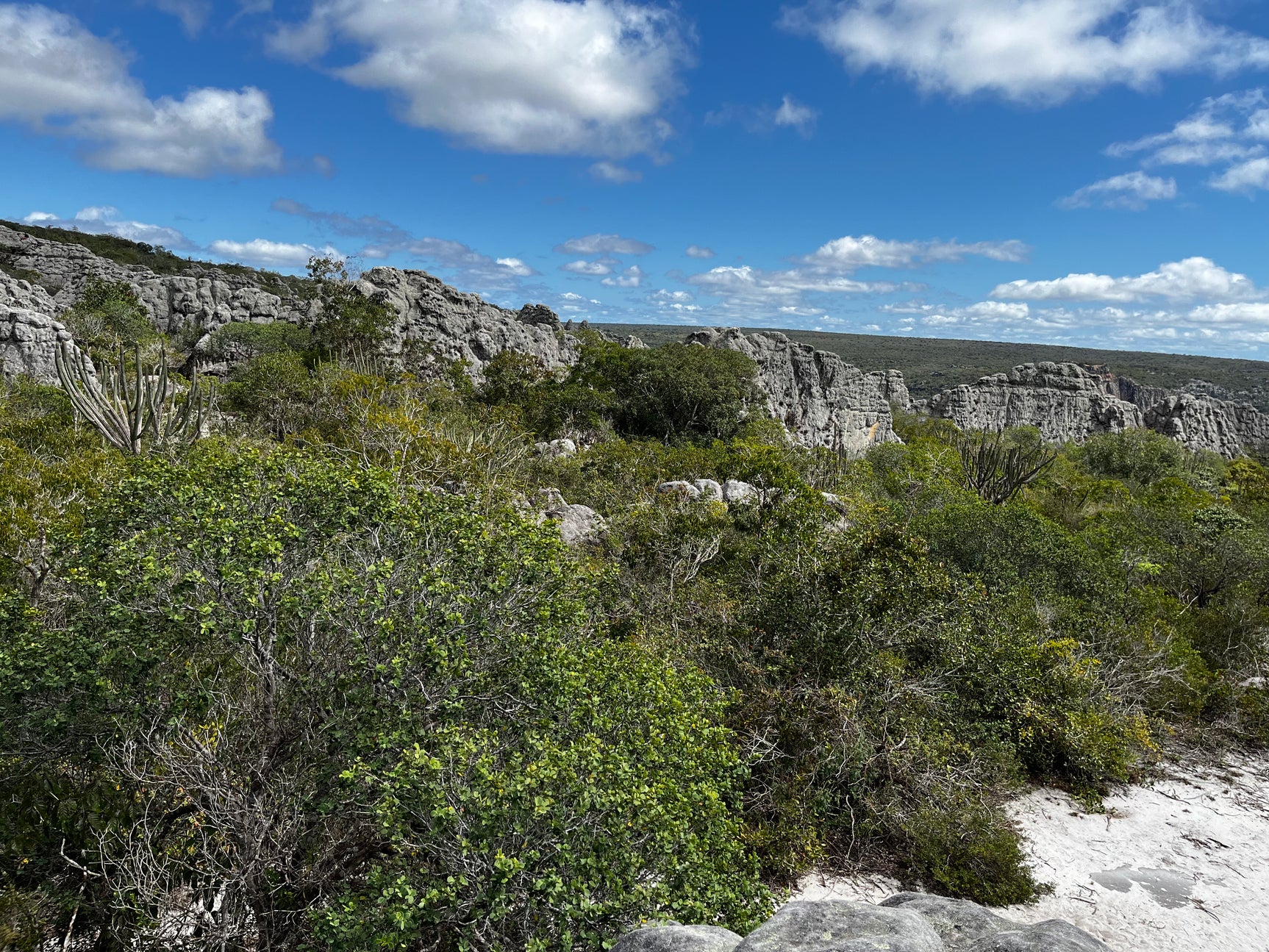 Buenos Aires Renewable Energy Project, Brazil