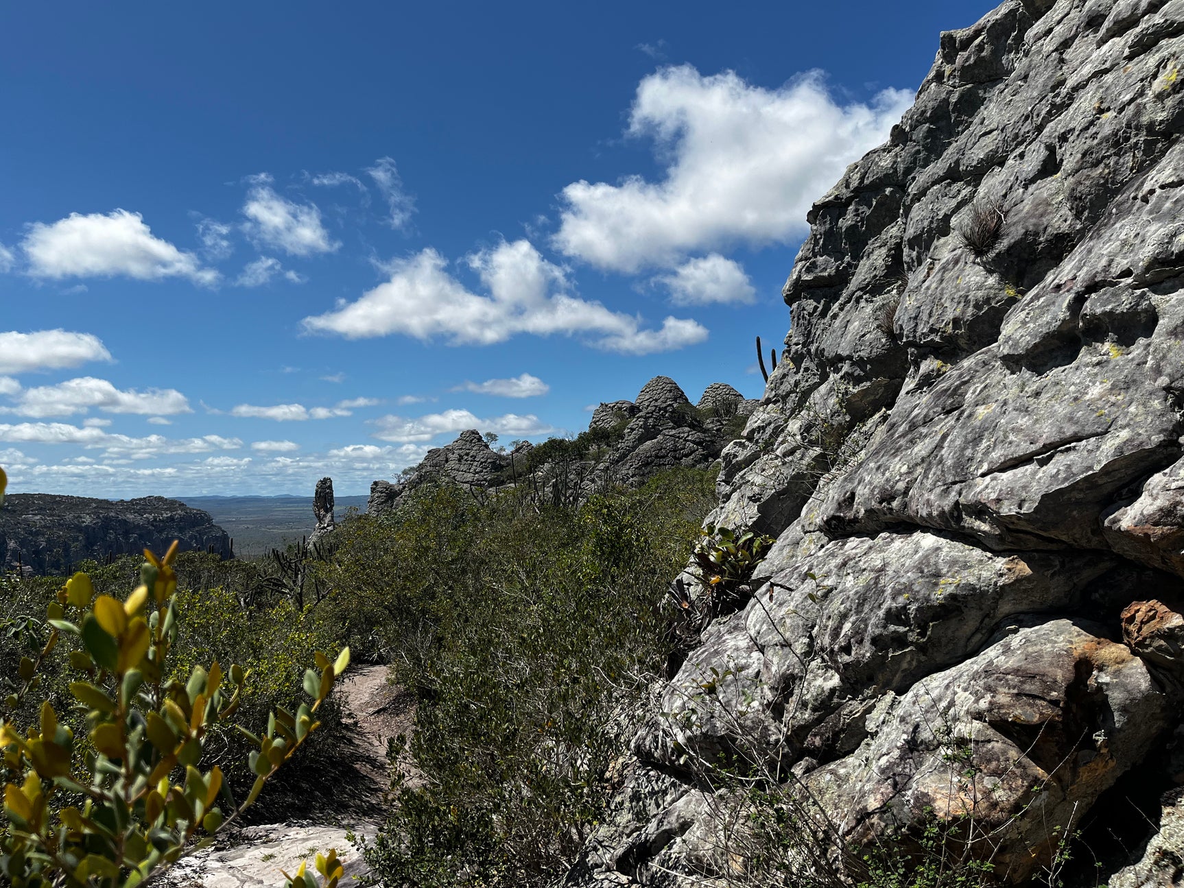 Buenos Aires Renewable Energy Project, Brazil