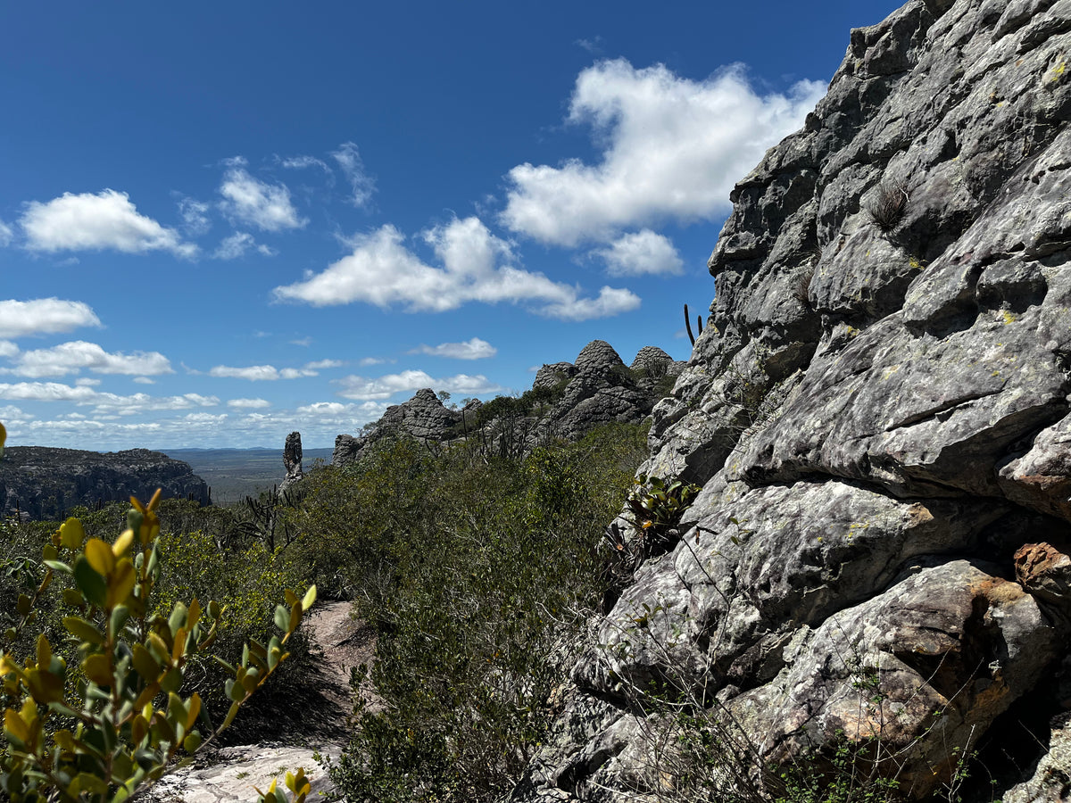 Buenos Aires Renewable Energy Project, Brazil