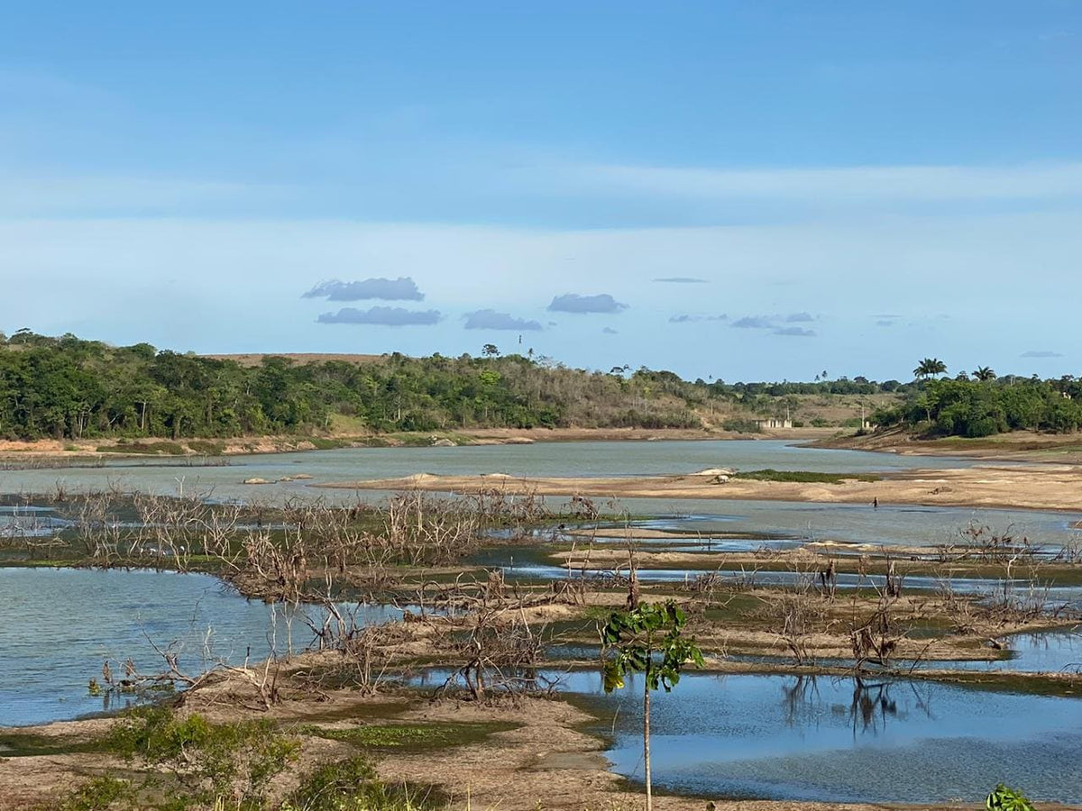 Buenos Aires Renewable Energy Project, Brazil