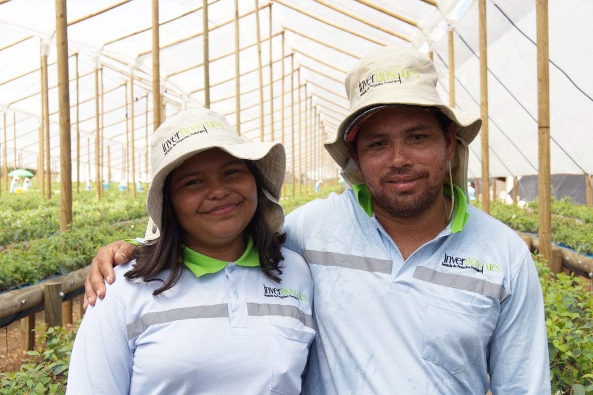 Vichada Climate Reforestation, Colombia