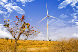 50 MW Wind Power Project in Madhya Pradesh, India