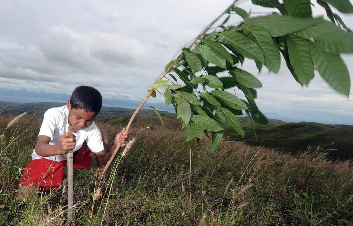 Betulia Energy and Biodiversity Restoration Project in Honduras