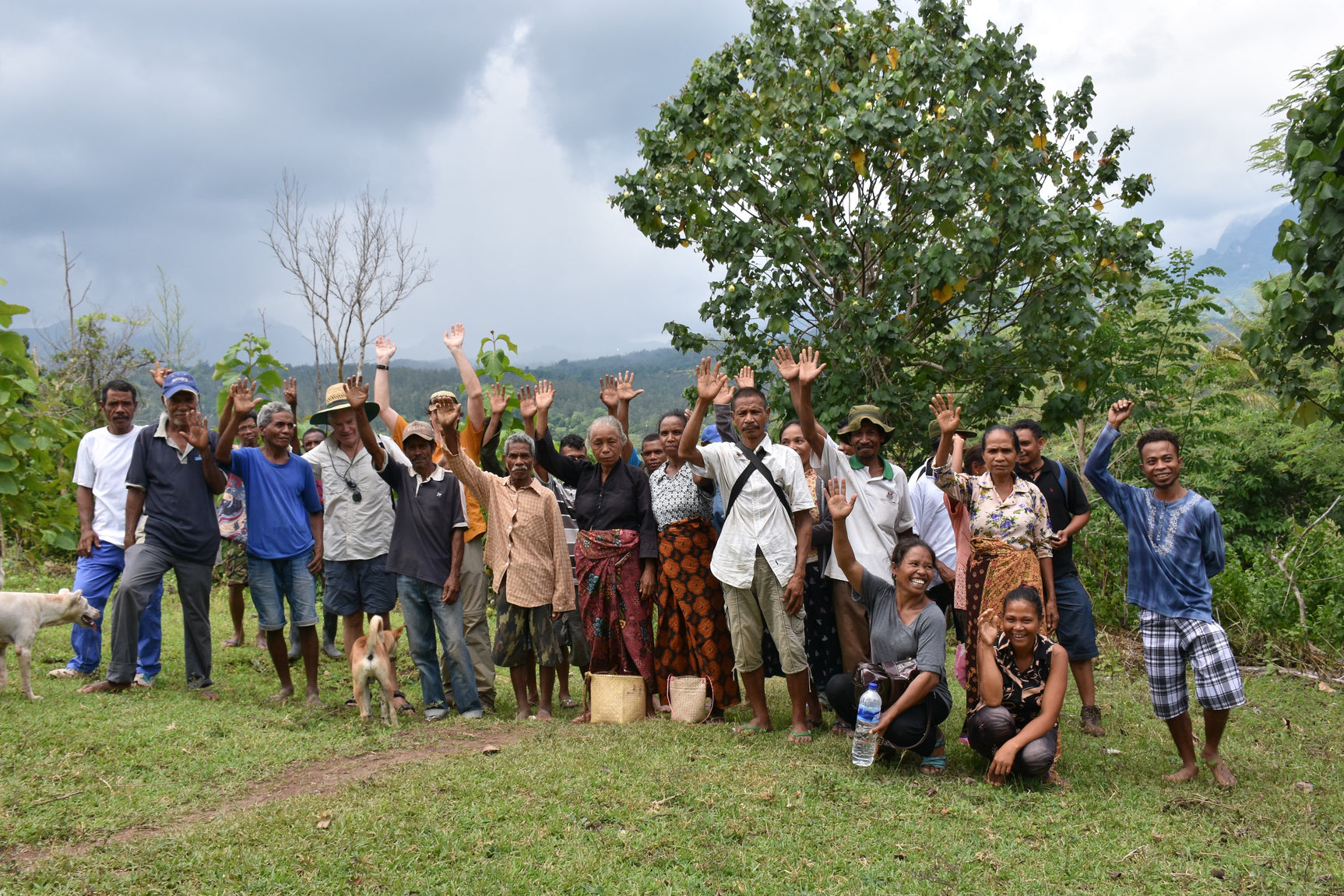 WithOneSeed Community Forest Programme, Timor-Leste