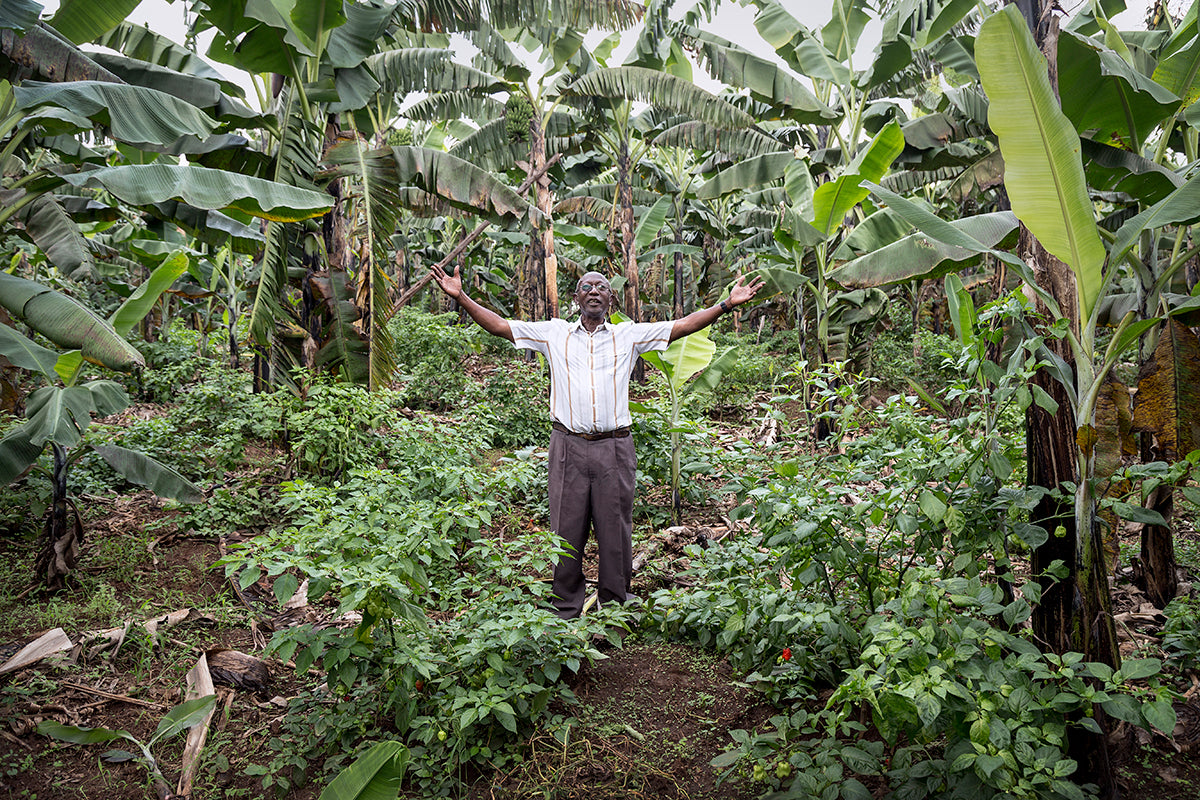 Biogas for Better Life Uganda