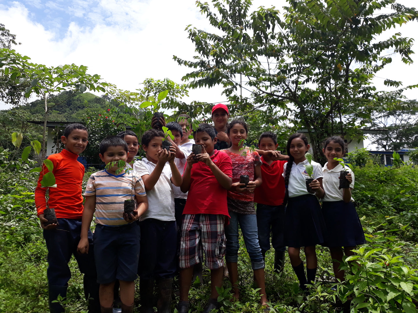 The Nicaforest High Impact Reforestation Program