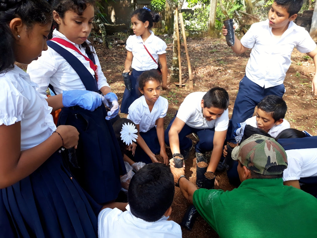 The Nicaforest High Impact Reforestation Program