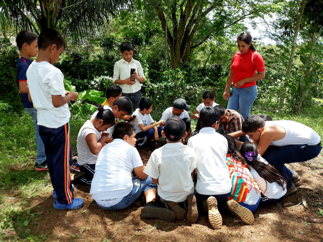 The Nicaforest High Impact Reforestation Program