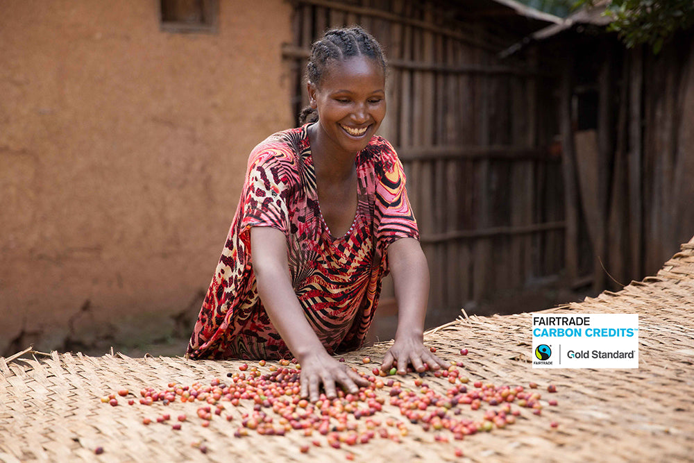 Fairtrade Project: Cookstoves for coffee farmers, Ethiopia