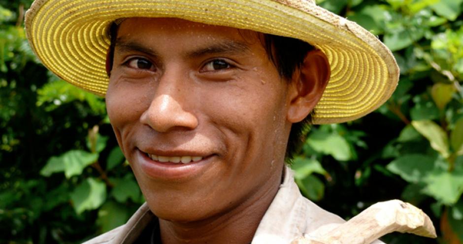 Planting Biodiverse Forests in Panama