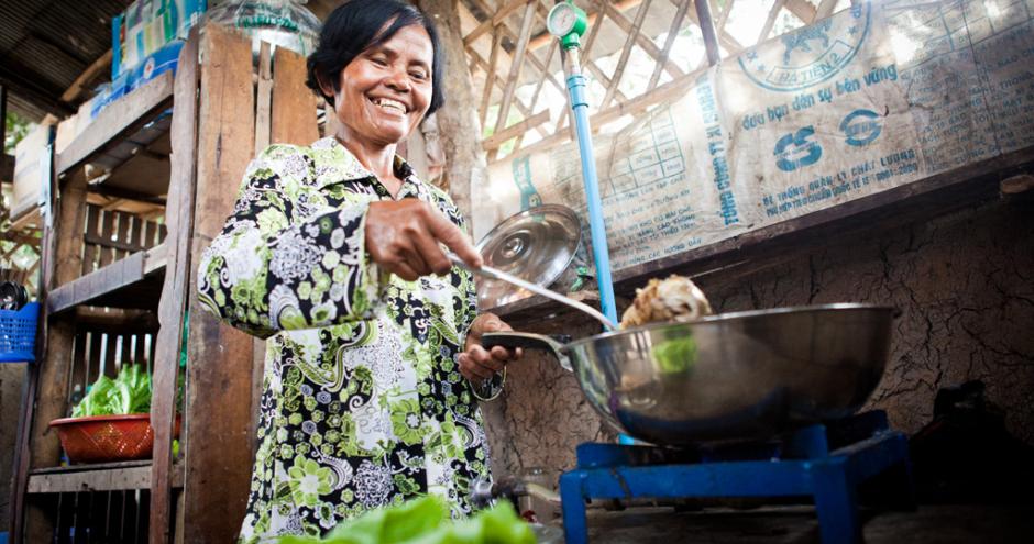 柬埔寨國家生物消化器計劃