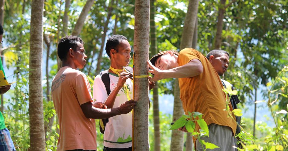 WithOneSeed Community Forest Programme, Timor-Leste