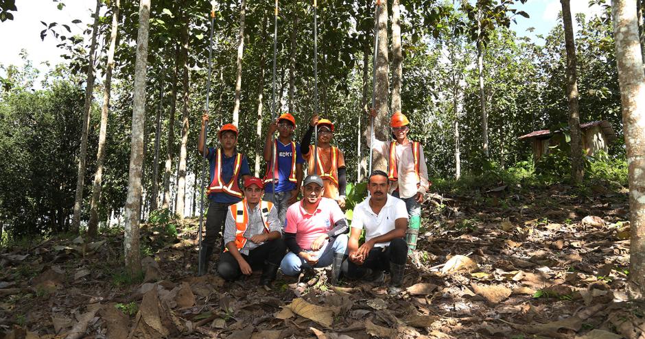 The Nicaforest High Impact Reforestation Program